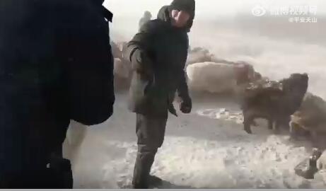 新疆民警暴风雪中搜寻3小时, 为牧民找回800只羊